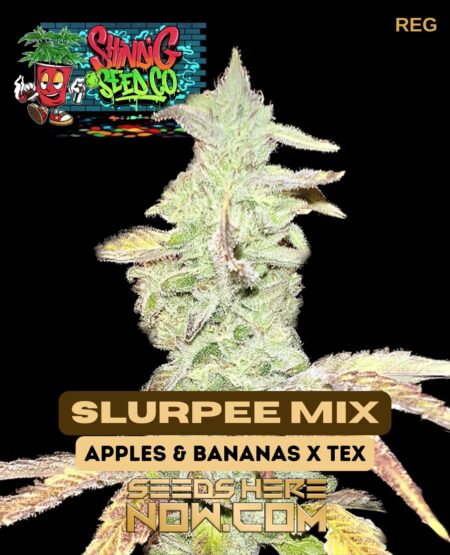 Slurpee mix (regular) - shindig seed co.