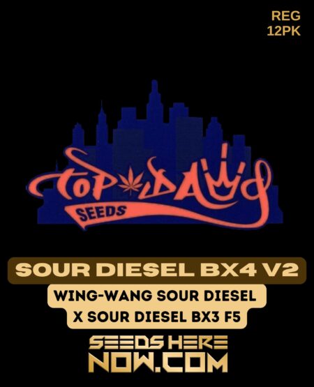 Sour Diesel Bx4 V2 (regular) - Top Dawg Seeds