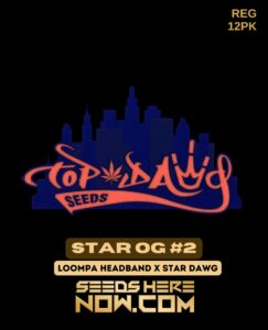 Star Og #2 (regular) - Top Dawg Seeds