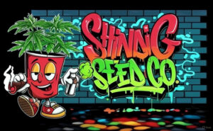 Shindig Logo