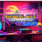 Tropical Mule (Feminized) - Raw Genetics