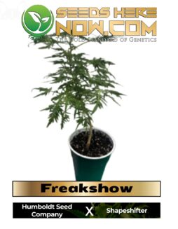 Freakshow Clones (space) Dunn Deal ClonesDunn Deal Freakshow Clone Card