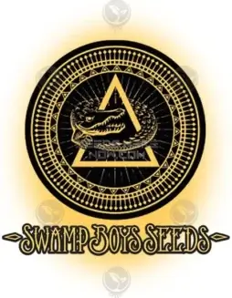 007UP cannabis seeds by Swamp Boys Seeds featuring Lemon Tree x White OG