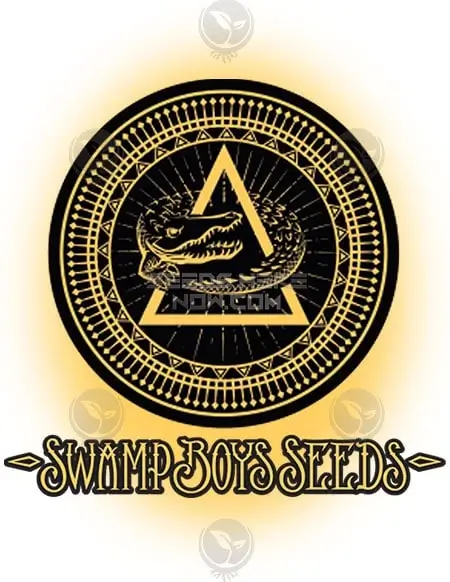 007UP cannabis seeds by Swamp Boys Seeds featuring Lemon Tree x White OG