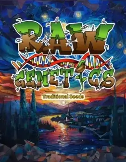 Image of 2 For 100 REG Combo Pack containing assorted regular cannabis seeds