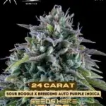 24 Carat (Autoflower) - Mephisto Genetics