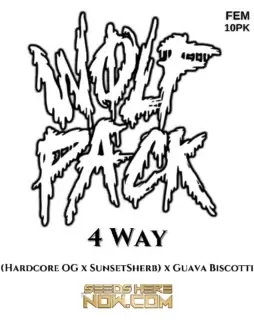 4 Way Feminized Seeds by Wolfpack Selections featuring pine, citrus, and earthy flavors