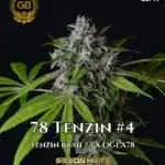 78 Tenzin #4 (Regular) - Green Bodhi Genetics