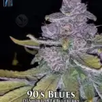 90's Blues (Regular) - DJ Short Seeds