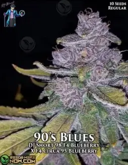 Image of 90's Blues Regular Cannabis Seeds Packaging