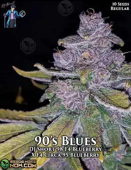 【世界100台】WEED Blues Driver 2 MA104B BD-2 2025年最新】weed bd 2の人気アイテム - メルカリ