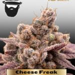 Cheese Freak (Regular) - S.A.G.E.masta Select