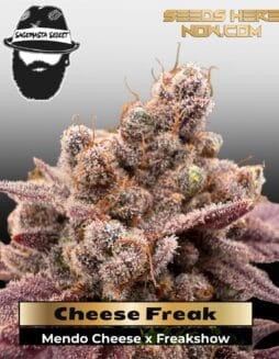 Cheese Freak (Regular) (space) S.A.G.E.masta Select