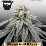 Freakin H8ters (Regular) - S.A.G.E.masta Select