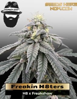 Freakin H8ters (Regular) (space) S.A.G.E.masta Select