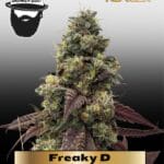 Freaky D (Regular) - S.A.G.E.masta Select