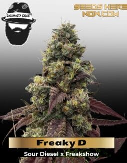 Freaky D (Regular) (space) S.A.G.E.masta Select