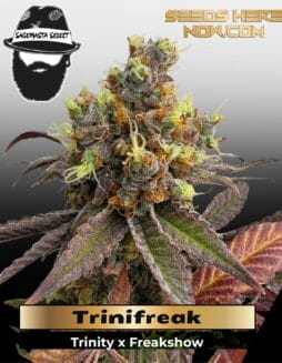 Trinifreak (Regular) (space) S.A.G.E.masta Select