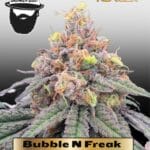 Bubble N Freak (Regular) - S.A.G.E.masta Select