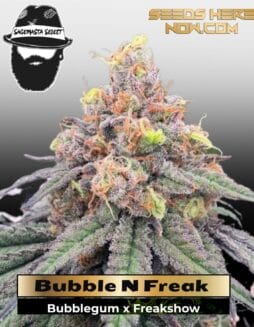Bubble N Freak (Regular) (space) S.A.G.E.masta Select