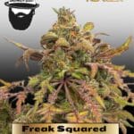 Freak Squared (Regular) - S.A.G.E.masta Select