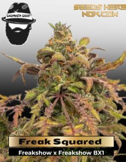 Freak Squared (Regular) (space) S.A.G.E.masta Select