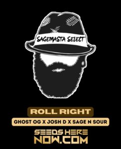 Roll Right (Regular) (space) S.A.G.E.masta Select
