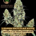 Lemon Zkittlez (Autoflower) - Automatically Delicious