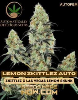 Lemon Zkittlez Auto (Autoflower) (space) Automatically Delicious