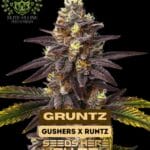 Gruntz S1 (Feminized) - Elite Clone Seed Company