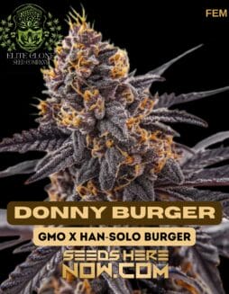 Donny Burger S1 (Feminized) (space) Elite Clone Seed Company