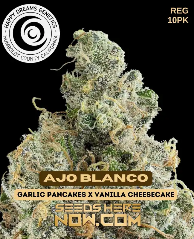 Ajo Blanco Regular Cannabis Seeds by Happy Dreams Genetics