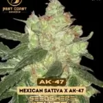 AK - 47 (Regular) - Best Coast Genetics