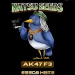 AK47 F3(Regular) - Katsu Seeds
