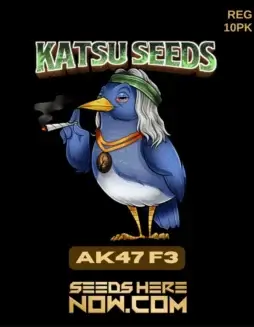 AK47 F3 Cannabis Seeds (space) Regular Type by Katsu Seeds, showing Sativa Dominance