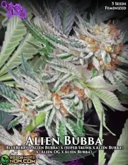 Alien Bubba Feminized Seeds (space) Indica(space)dominant hybrid featuring 18(space)22% THC