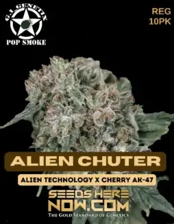 Packaging of Alien Chuter regular cannabis seeds by G.I. Genetix