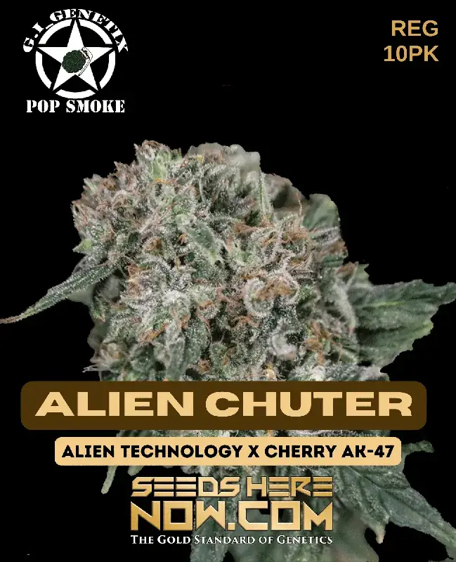 Packaging of Alien Chuter regular cannabis seeds by G.I. Genetix
