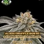 Alien Truffle Bus R1 (Feminized) - Eazy Daze Cultivators
