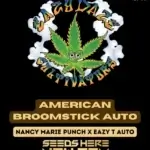 American Broomstick (Autoflower) - Eazy Daze Cultivators