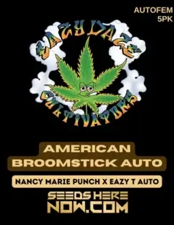 American Broomstick Auto autoflowering cannabis seeds by Eazy Daze Cultivators