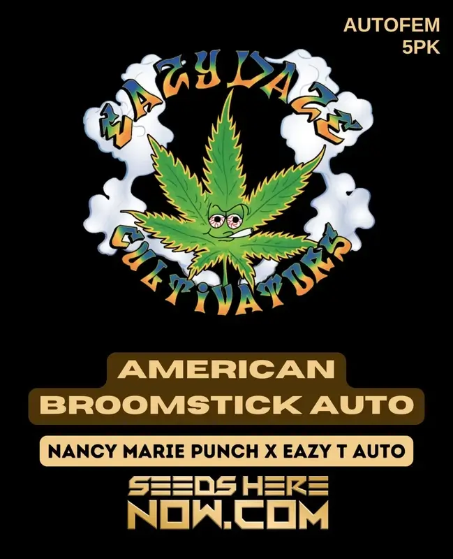 American Broomstick Auto autoflowering cannabis seeds by Eazy Daze Cultivators