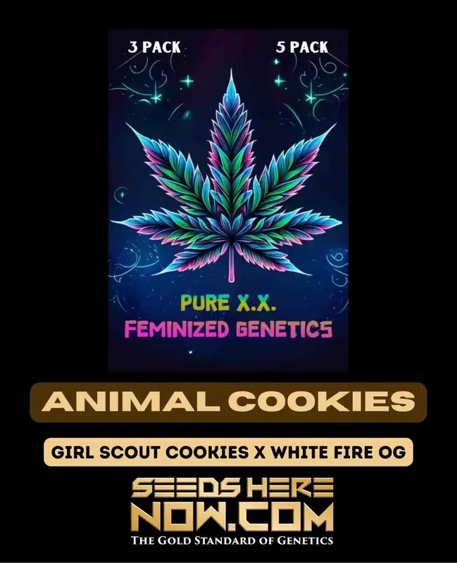 Animal Cookies S1 Feminized Seeds - Sweet, Earthy Aroma with THC 20-25%