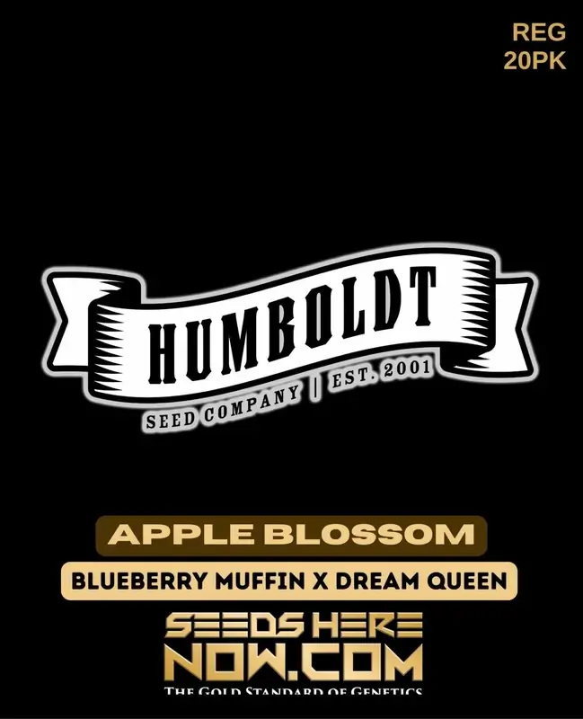 Apple Blossom Cannabis Seeds by Humboldt Seed Company featuring Blueberry Muffin and Dream Queen genetics