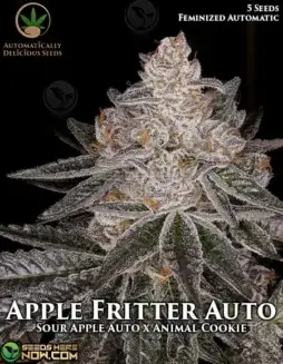 Apple Fritter Auto Strain Cannabis Seeds by Automatically Delicious