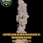 Apples & Bananas x Sherbacio (Feminized) - Way2heady Selections