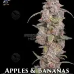 Apples and Bananas S1 (Feminized) - Dr. Blaze