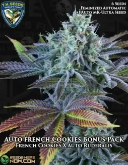 Packaging of Auto French Cookies Bonus Pack Seeds by T.H. Seeds, featuring sweet and earthy aroma notes.