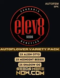 Autoflower Variety Pack cannabis seeds by Elev8 Seeds featuring robust potency and hybrid dominance
