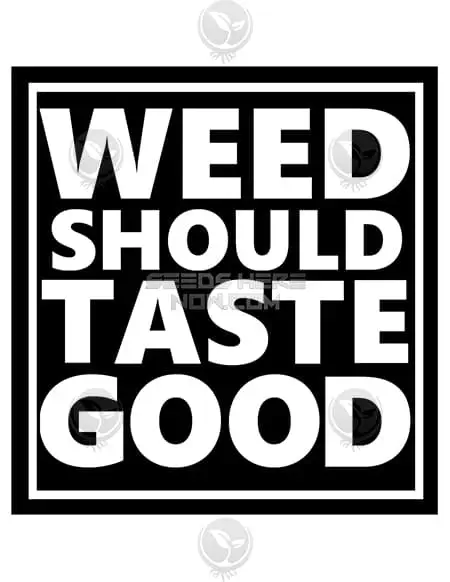 Balanced Breakfast Cannabis Seeds - a hybrid blend of Sour Tsunami and Scotts OG with sweet, earthy aroma